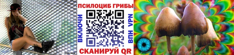 Псилоцибиновые грибы мухоморы  Поронайск 
